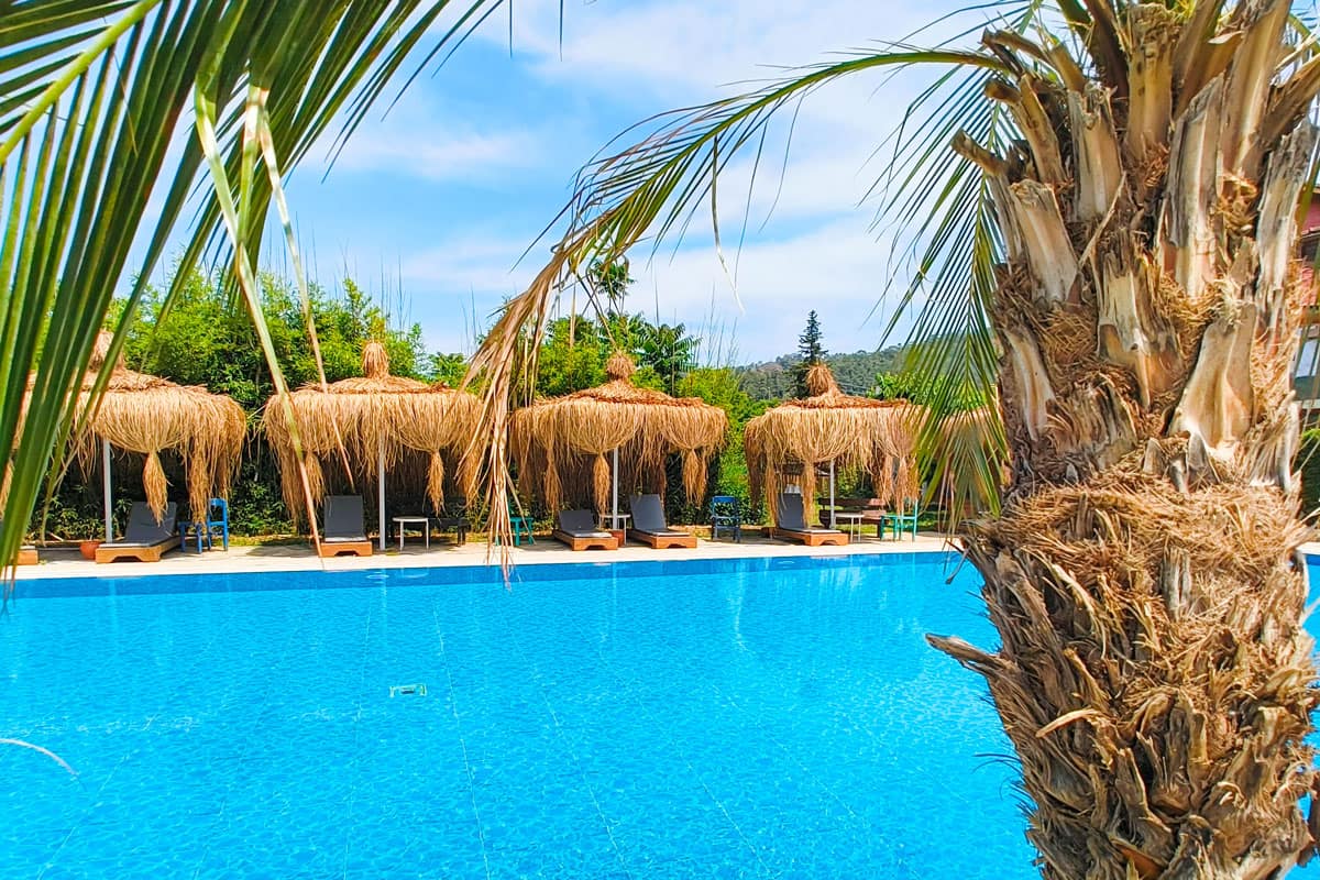 palm-by-the-pool Bright blue swimming pool framed by a tall palm tree in the foreground, with a row of thatched cabanas and sun loungers in the background, surrounded by lush greenery under a clear sky.