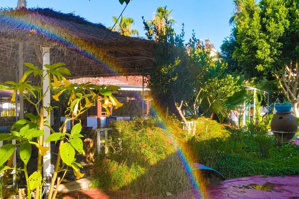 rainbow-garden Vibrant garden with lush greenery and tropical plants, featuring a rainbow effect created by sunlight through misting water. A thatched-roof pergola, terracotta pot, and blooming flowers enhance the serene atmosphere under a clear blue sky.