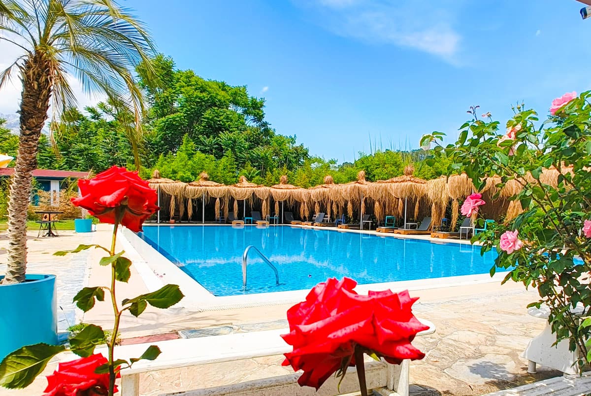 flowers-and-the-pool,